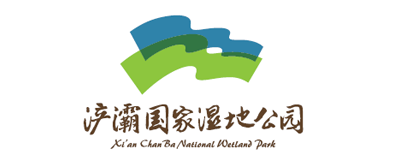 焦点娱乐全站标准网络访问地址与节点安全配置